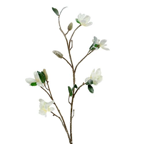 Floristik24 Branche de magnolia blanc L 82cm avec neige