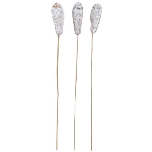 Article Cosses d'acajou décoration sèche blanc naturel 45cm 50 pcs