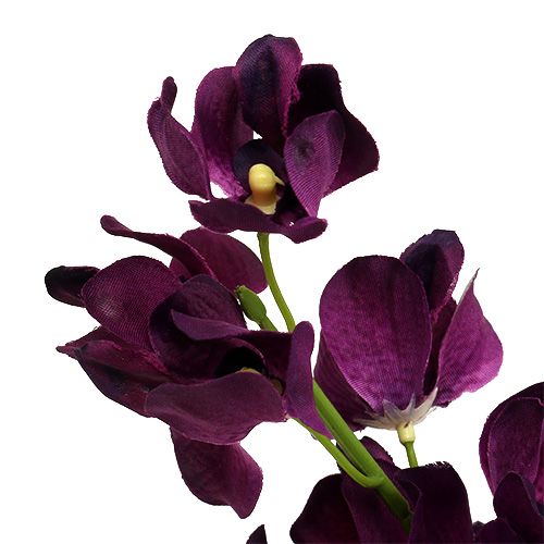 Floristik24.be Orchidée Mokara violette 50cm artificielle 6pcs - acheter  pas cher en ligne