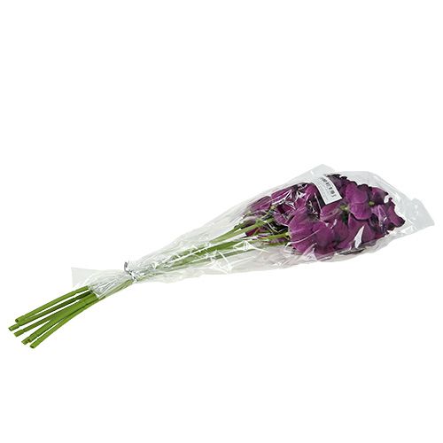 Article Orchidée Mokara violette 50cm artificielle 6pcs