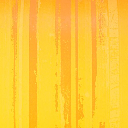 Article Manchette en papier fleur jaune orange 37,5 cm 100 m