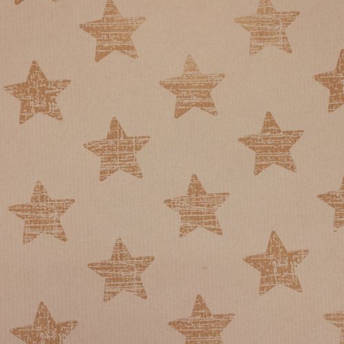 Floristik24 Papier manchette papier de soie étoiles blanches 25cm 100m