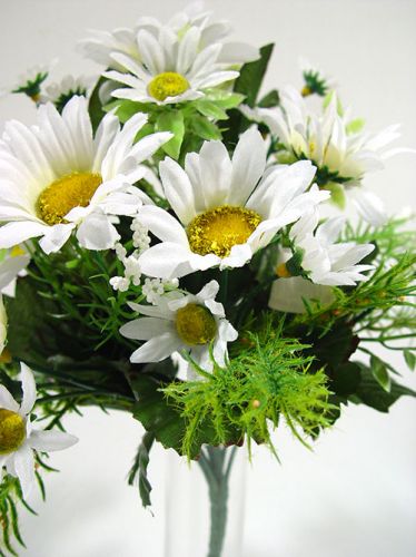 Floristik24 Petit bouquet de marguerites