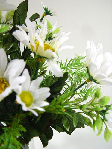 Floristik24 Petit bouquet de marguerites