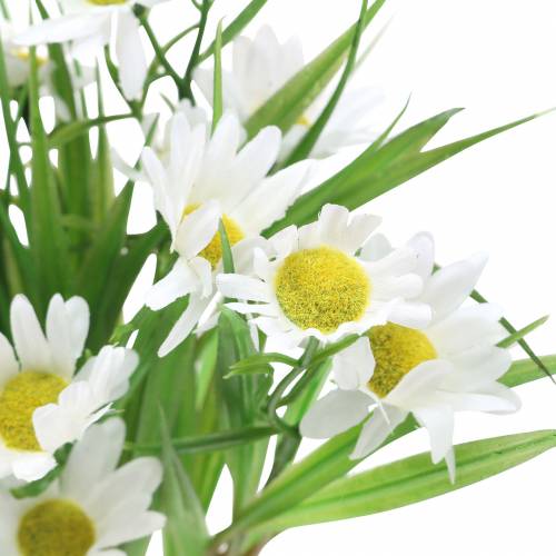 Floristik24 Bouquet de marguerites avec gazon décoratif 37cm