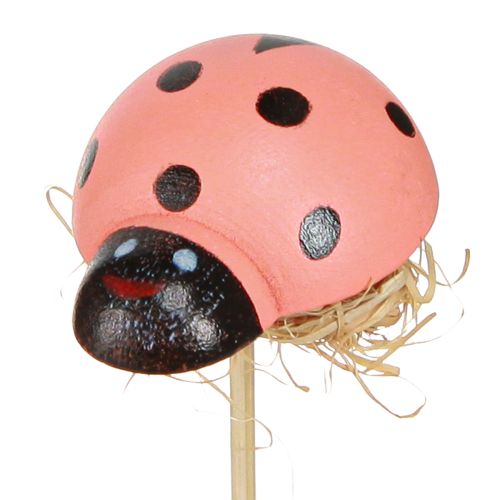 Article Bouchons de fleurs décoratifs coccinelle couleur bois 3,5cm 24 pcs