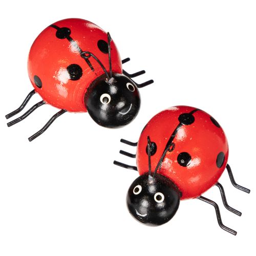 Floristik24 Coccinelles en bois porte-bonheur, 5 cm, lot de 6, pour décorer votre intérieur.
