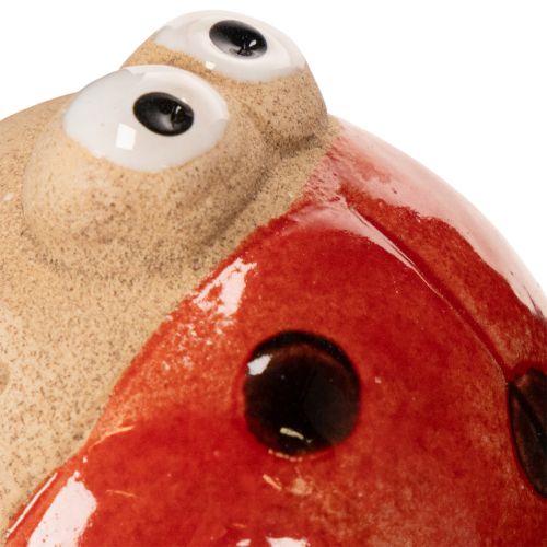 Article Piquets de jardin coccinelle, éléments décoratifs pour le jardin, 25 cm, lot de 4