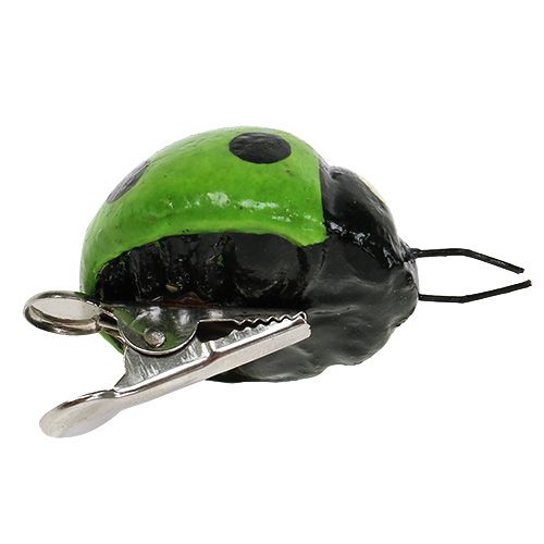 Floristik24 Coccinelles avec clip rouge, vert 3,5 cm 6 p.