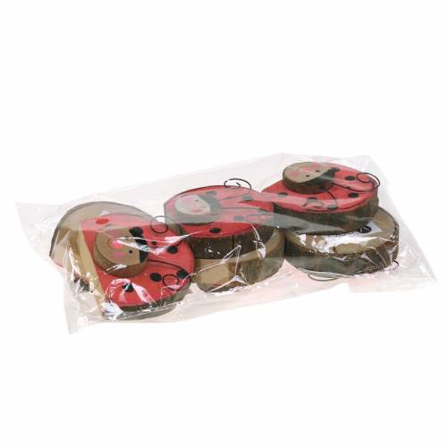 Floristik24 Coccinelle bois rouge Ø7cm 6pcs