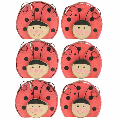 Floristik24 Coccinelle bois rouge Ø7cm 6pcs