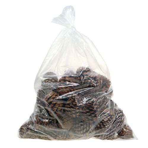 Article Cônes Maritima 10/14 naturel 50 pcs