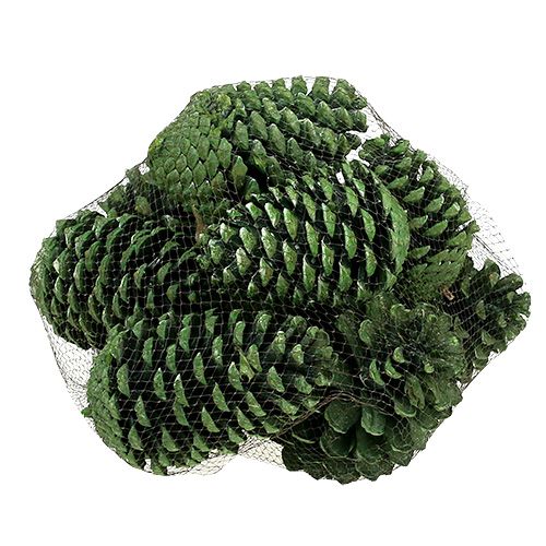 Article Cônes Maritima 10cm - 16cm vert givré 12 pcs
