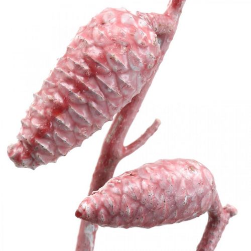 Floristik24 Cône maritime sur branche ciré rose/blanc 400g