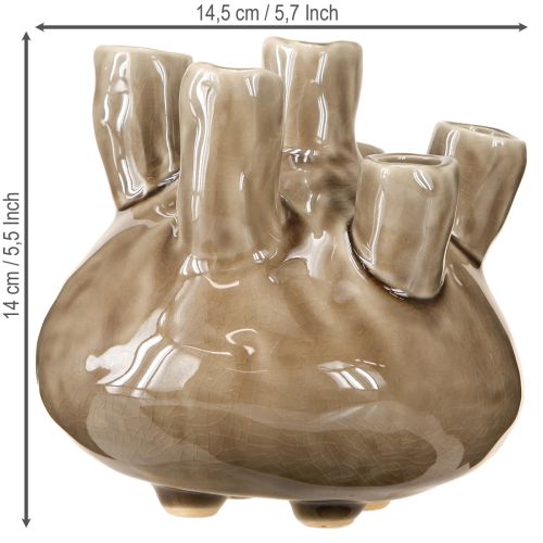 Article Vase Maritime Décoration Corail Design Marron Ø14.5cm H14cm