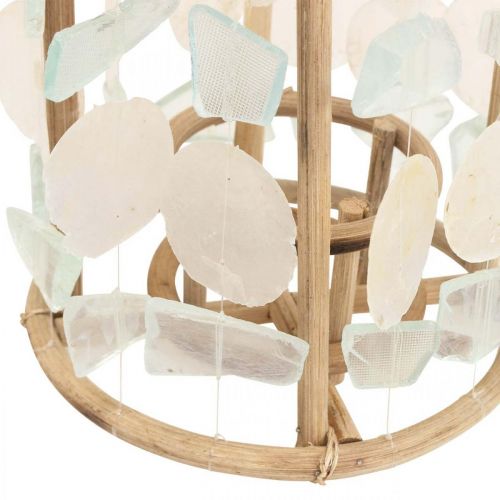 Floristik24 Lanterne décoration maritime Capiz bois verre naturel Ø17.5cm H34cm