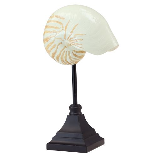 Floristik24 Sculpture décorative maritime coquille d'escargot avec socle 30,5cm