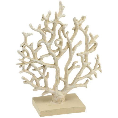 Floristik24 Décoration de table maritime beige corail décoratif corail polyrésine H20cm