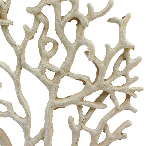 Floristik24 Décoration de table maritime beige corail décoratif corail polyrésine H20cm