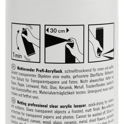 Floristik24 Peinture acrylique professionnelle mat spray 400ml