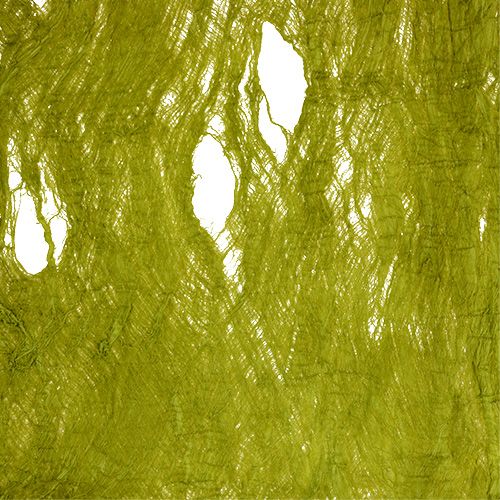 Floristik24 Écorce de mûrier vert pomme 250 g