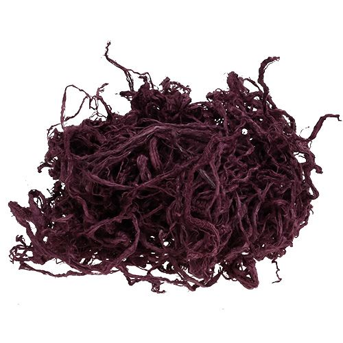 Floristik24 Aubergine Coton Mulberry 150g