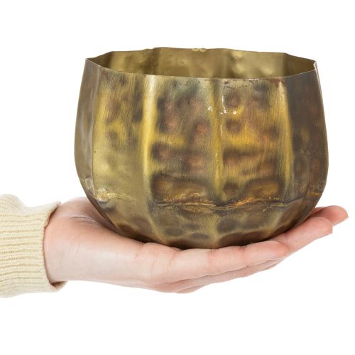 Pot de fleurs décoratif en métal, laiton, Ø22/18/14 cm, lot de 3 | Floristik24.be