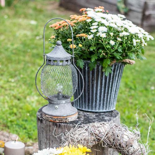 Floristik24 Lanterne en métal, lampe LED, Shabby Chic Ø16cm H33.5cm