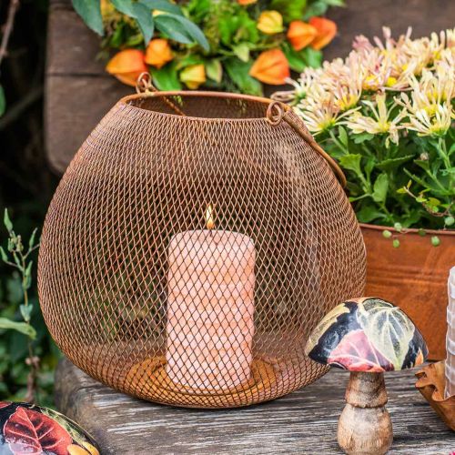 Floristik24 Lanterne en métal avec décoration de table grille grille Ø26cm H20cm