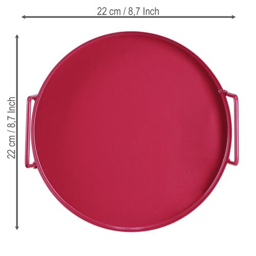 Article Plateau polyvalent, rangement pratique pour la salle à manger et la terrasse, 22 cm
