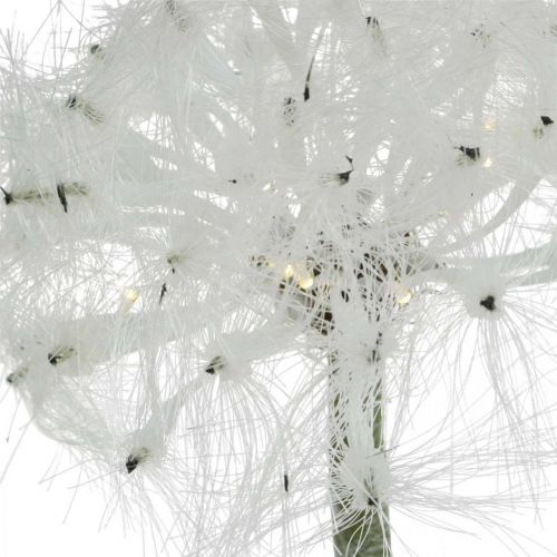 Floristik24 Pissenlit LED pour éclairage fleur artificielle blanche à piles H50cm