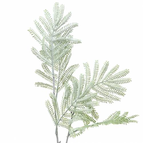 Floristik24 Branche déco vert mimosa effet givré 63cm