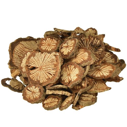 Mini disques en bois décoration noix de bétel avec grain 1-4,5 cm 300 g