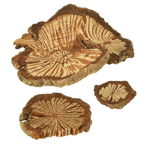 Article Mini disques en bois décoration noix de bétel avec grain 1-4,5 cm 300 g