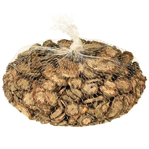 Article Mini disques en bois décoration noix de bétel avec grain 1-4,5 cm 300 g