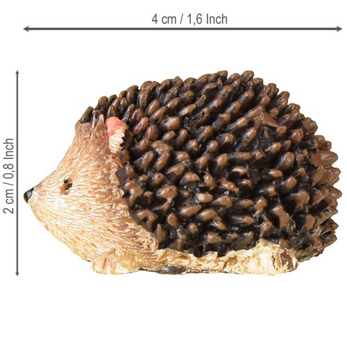 Floristik24 Mini figurines décoratives hérisson automne peintes à la main 4×2,5×2cm 6 pièces
