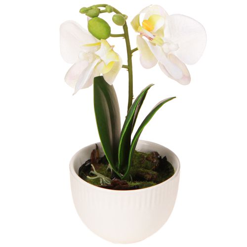 Article Mini orchidées artificielles blanches en pot de 15 cm