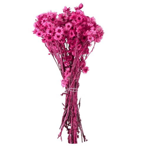 Article Mini Fleur en Paille Rose Fleur Séchée Fleur de Roche H20cm 15g