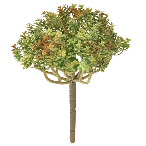 Mini plante succulente artificielle verte artificielle avec tige H23cm