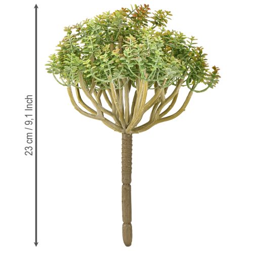 Article Mini plante succulente artificielle verte artificielle avec tige H23cm