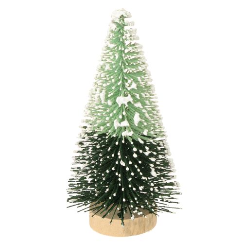 Floristik24 Mini sapin de Noël artificiel avec neige Ø5cm H10cm 6 pcs