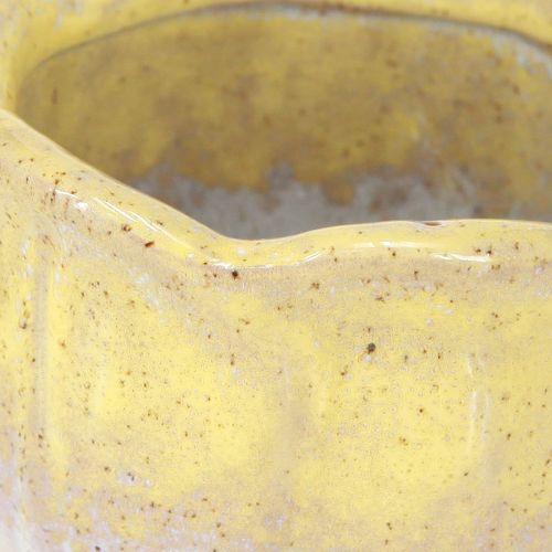 Article Mini jardinière en céramique, pot de fleurs assorti Ø8cm H7cm 3pcs