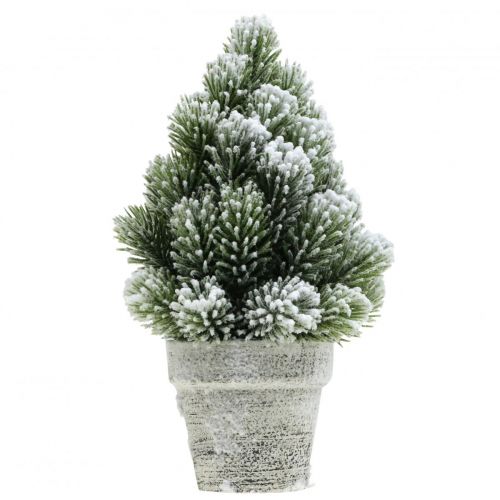 Floristik24 Mini sapin de Noël en pot enneigé artificiellement Ø14cm H24cm