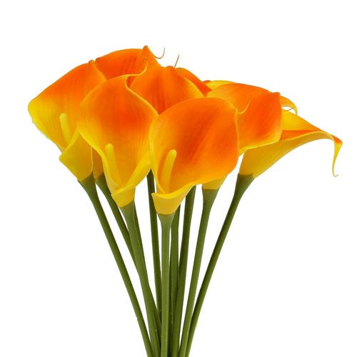Floristik24 Mini calla artificielle jaune 28cm 12 pcs