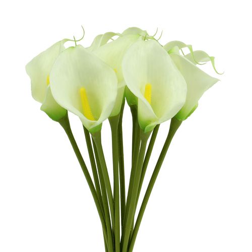 Article Mini Calla blanc artificiel L 28cm 12pcs