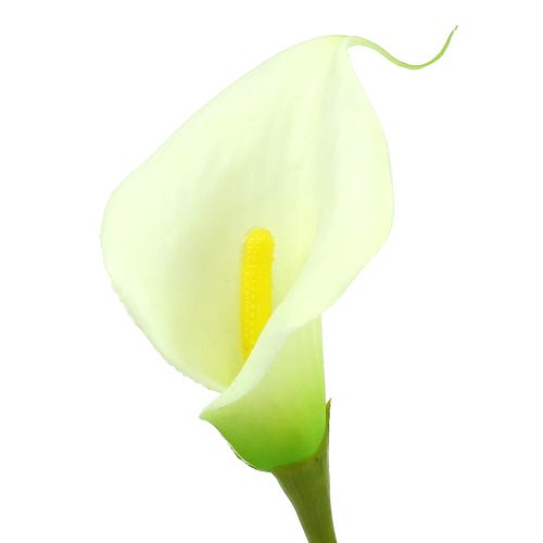 Article Mini calla artificielle blanc L 28cm 12 pcs