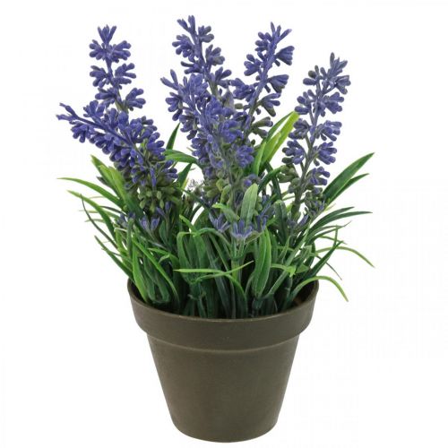 Floristik24 Mini lavande en pot plante artificielle décor lavande H16cm