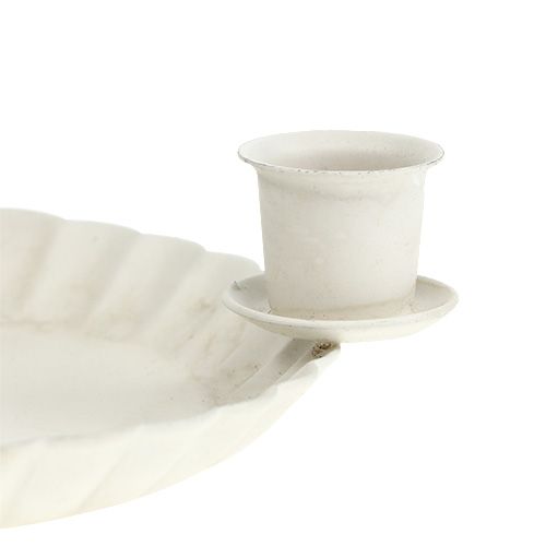 Floristik24 Mini assiette avec porte bougie 4x arbre Ø10cm crème