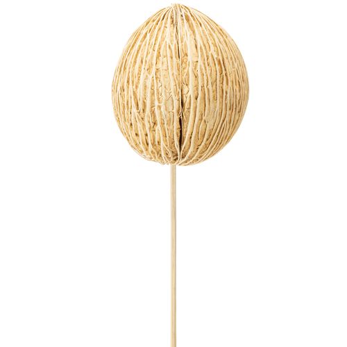 Floristik24 Boule de Mintolla blanchie 8cm - 10cm L46cm 6 pcs