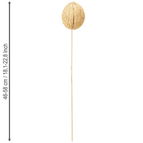 Article Boule de Mintolla blanchie 8cm - 10cm L46cm 6 pcs